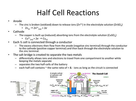 how are half cells similar to half reactions